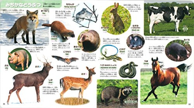 21年 動物 図鑑のおすすめ人気ランキング10選 Mybest 21年 動物 図鑑のおすすめ人気ランキング10選 Mybest