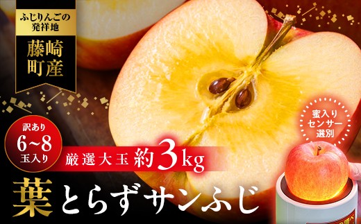 訳あり 葉とらずサンふじ 1