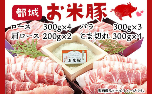お米豚3.7kgセット 1