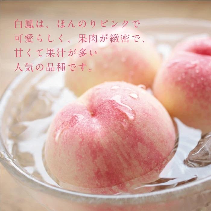 岡山白桃 白鳳 4