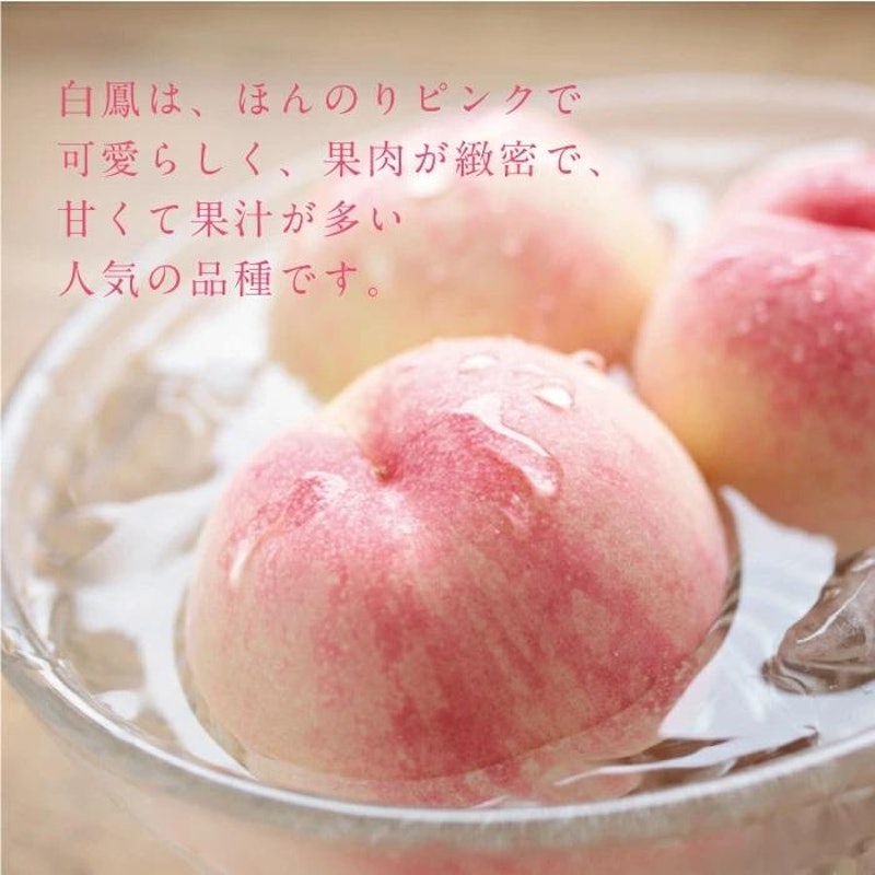 岡山白桃 白鳳 4