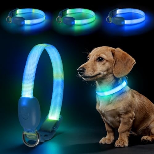 LED光る犬用首輪 1
