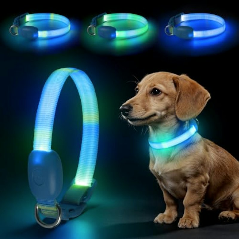 LED光る犬用首輪 1