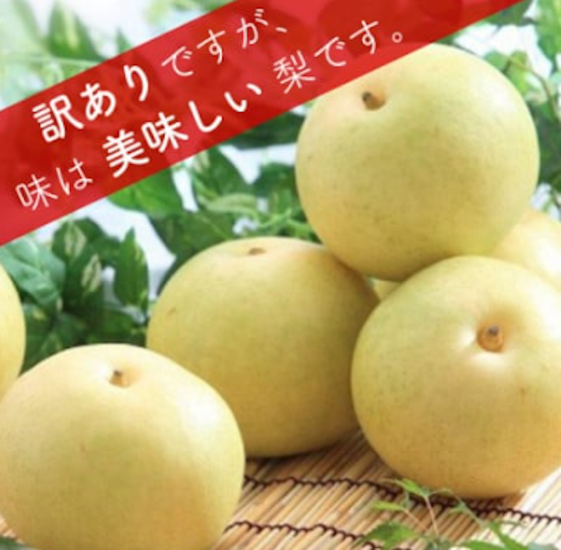梨 二十世紀 訳あり 1