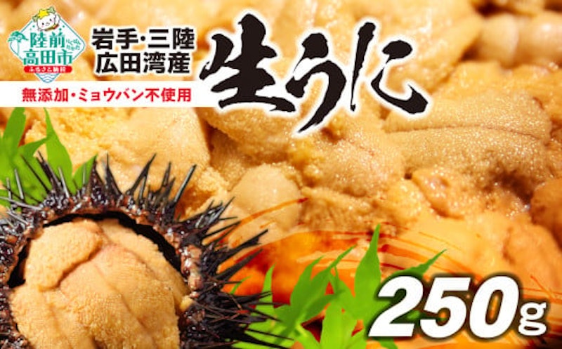 生うに 1