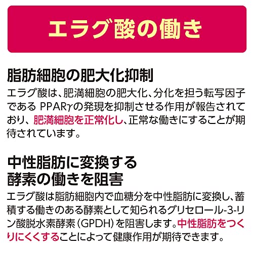 スリムバリアV6 5