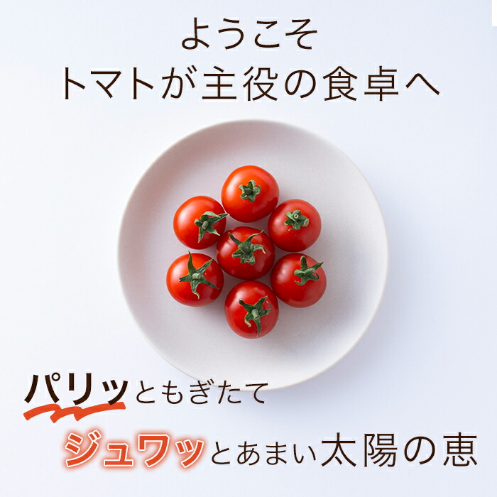 ミニトマト 2