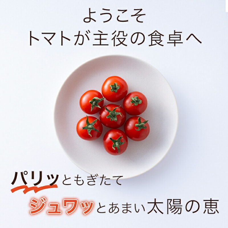 ミニトマト 2