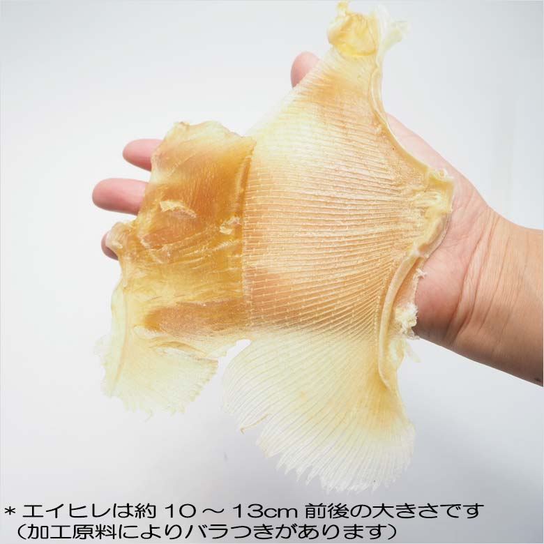 エイヒレメガ盛りサイズ 10
