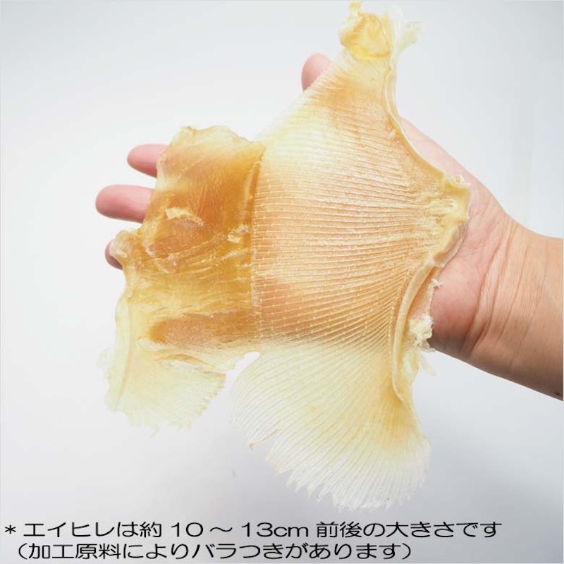 エイヒレメガ盛りサイズ 10