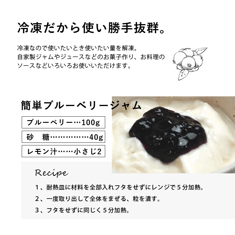 有名な 冷凍ブルーベリー 1kg 500g×2袋 デザート フルーツ 食品 冷凍便 プロ愛用