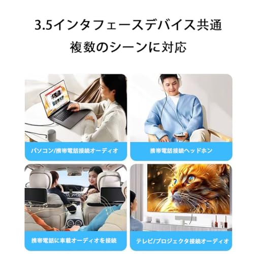 オーディオケーブル 2