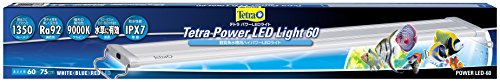 パワーLEDライト 1