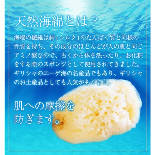 海綿 ジップロック袋付き 4