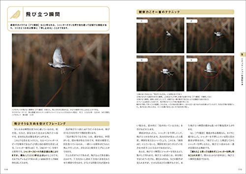 図解でわかる野鳥撮影入門  7