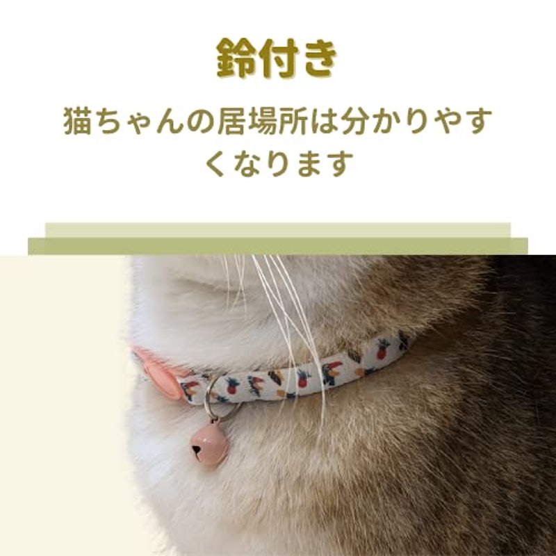 猫 首輪 6
