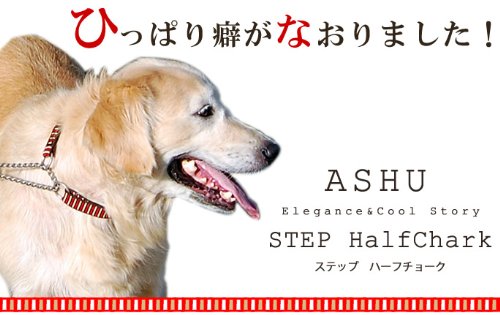 2022年】犬用ハーフチョークのおすすめ人気ランキング20選 | mybest