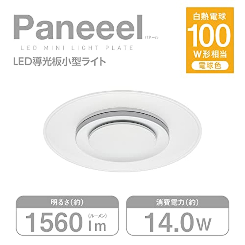 Paneeel 3
