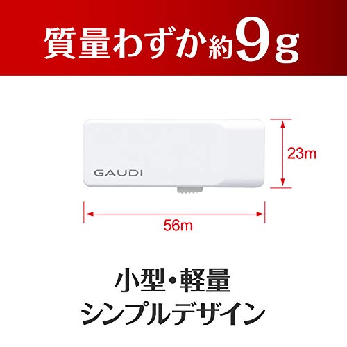 GAUDI USBメモリ 2
