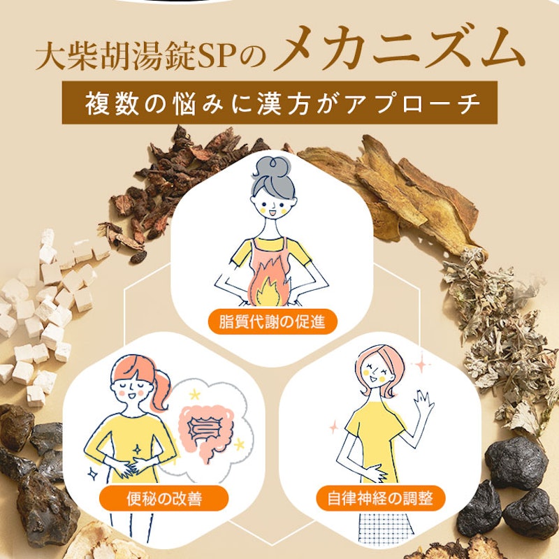 生漢煎 大柴胡湯錠SP 9