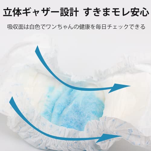 犬用おむつ 6