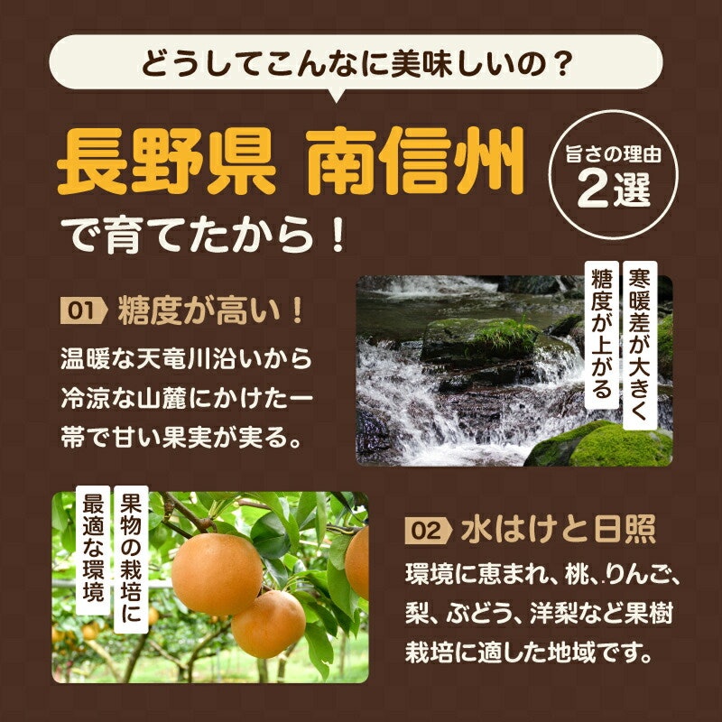 南信州産 訳あり和梨 4