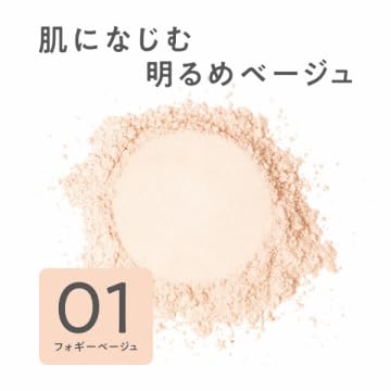シームレスカバーパウダー 2