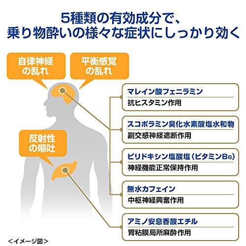 ニスキャップ 4