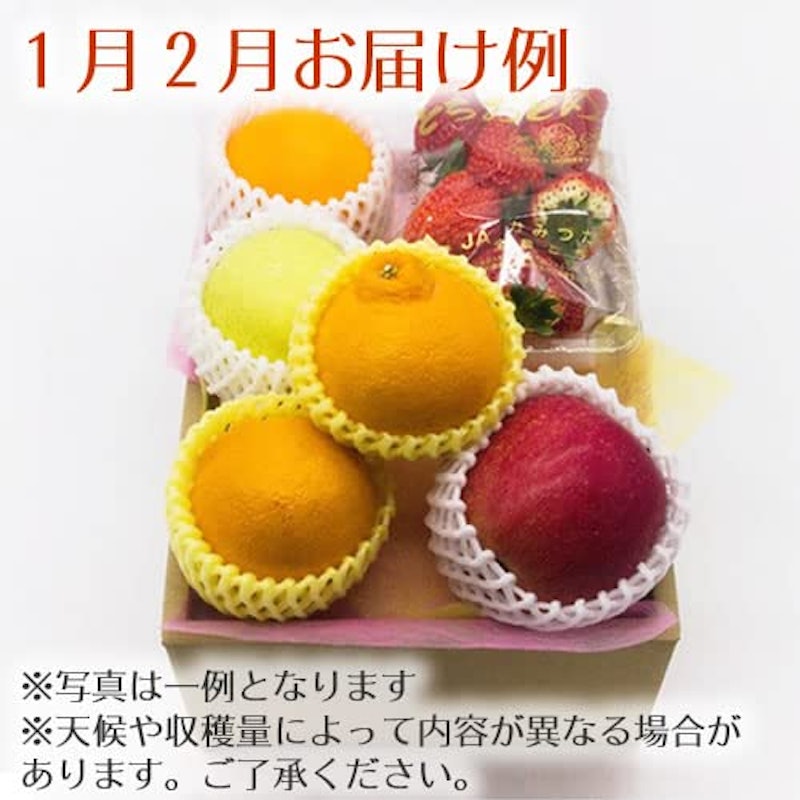季節のフルーツボックス Dコース 2