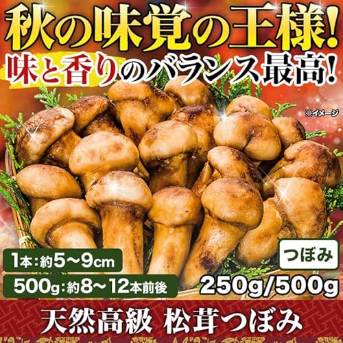 松茸つぼみ 2