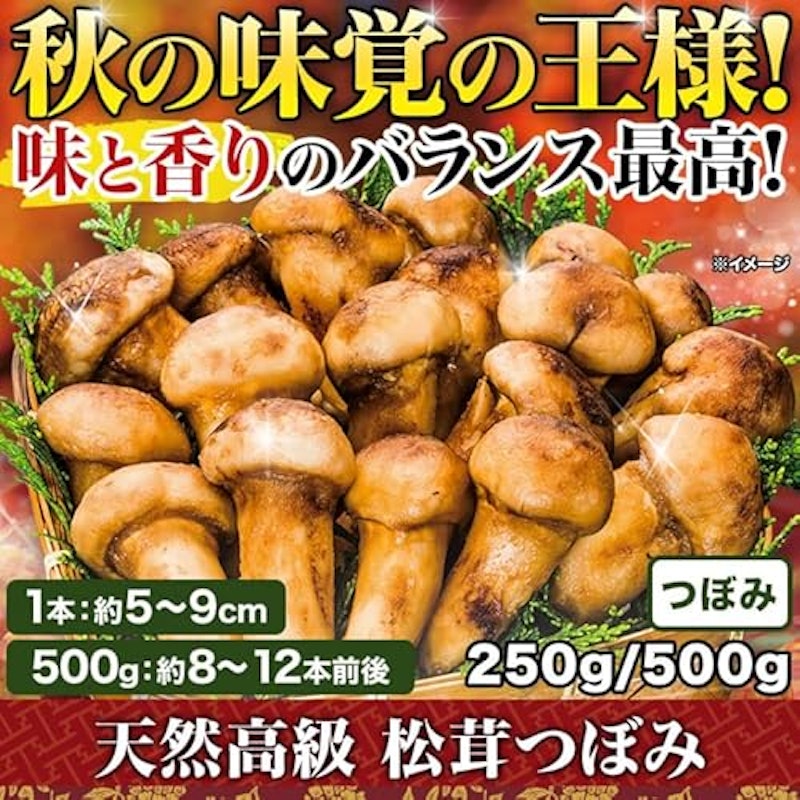 松茸つぼみ 2