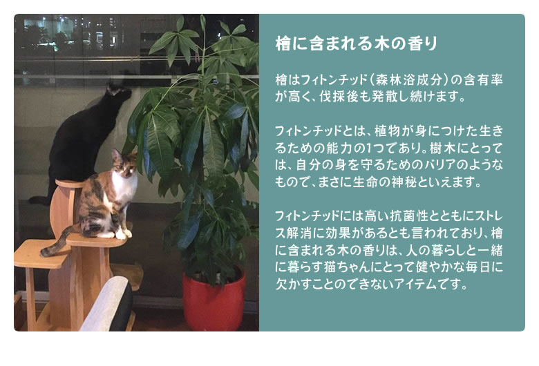 シニア用 キャットタワー サワロ 4