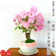 花心盆栽 八重桜ミニ盆栽 1