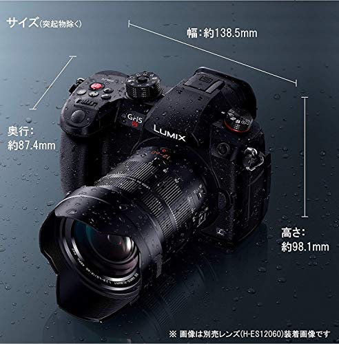 LUMIX DC-GH5S 3