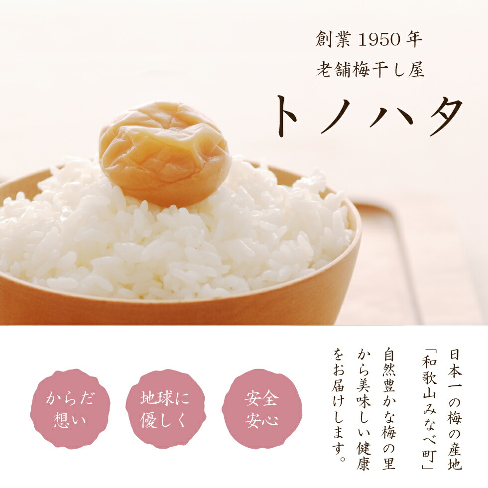 紀州産南高梅 つぶれ梅 はちみつ味 4