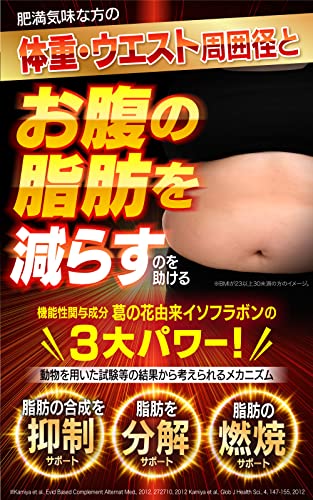 脂肪減少源EX 2