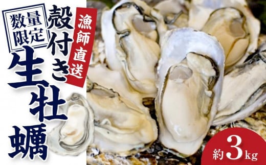 殻付き生牡蠣 1