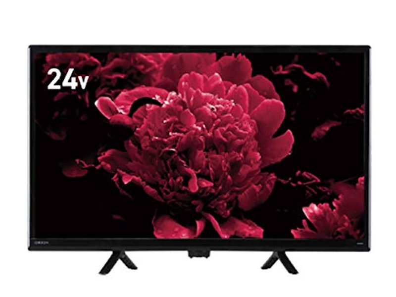 ハイビジョン液晶テレビ OL24WD100 1