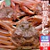 中村商店 松葉がに 活・タグ付 1