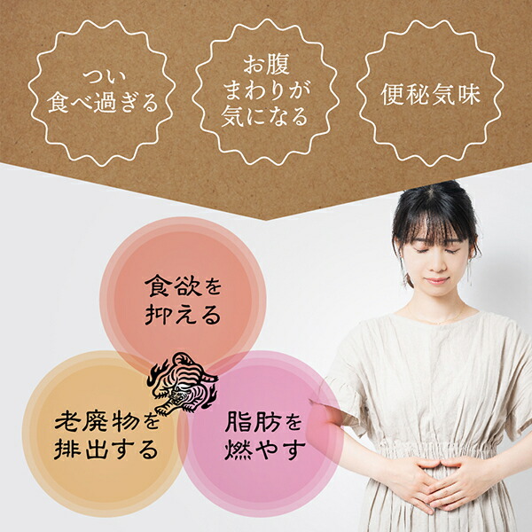 防風通聖散 2