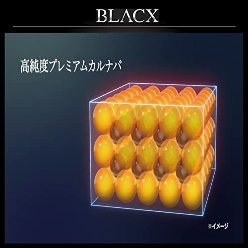 TYPE：H 黒専用 超耐久WAX 4