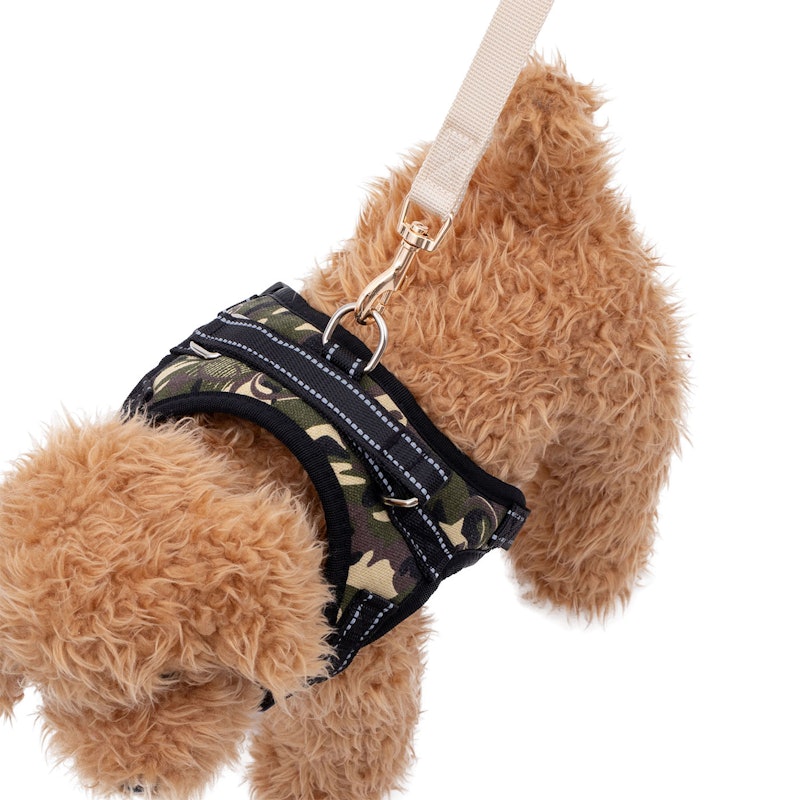 犬用ハーネス 6