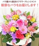 60代女性に贈る退職祝いのおすすめ人気ランキング【2026年】 3