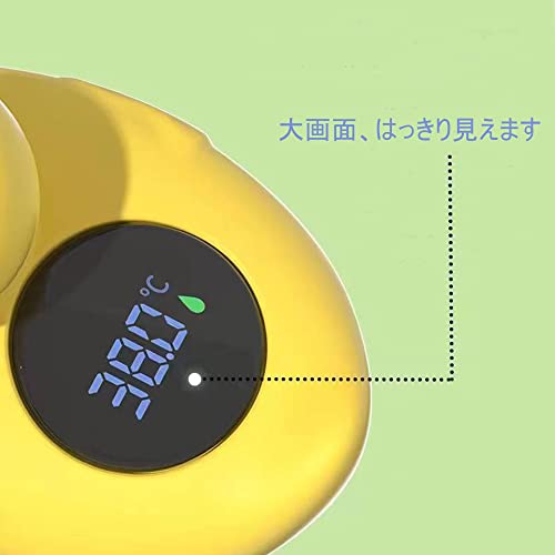 バス温度計 2