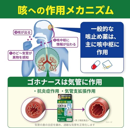 ゴホナース 6