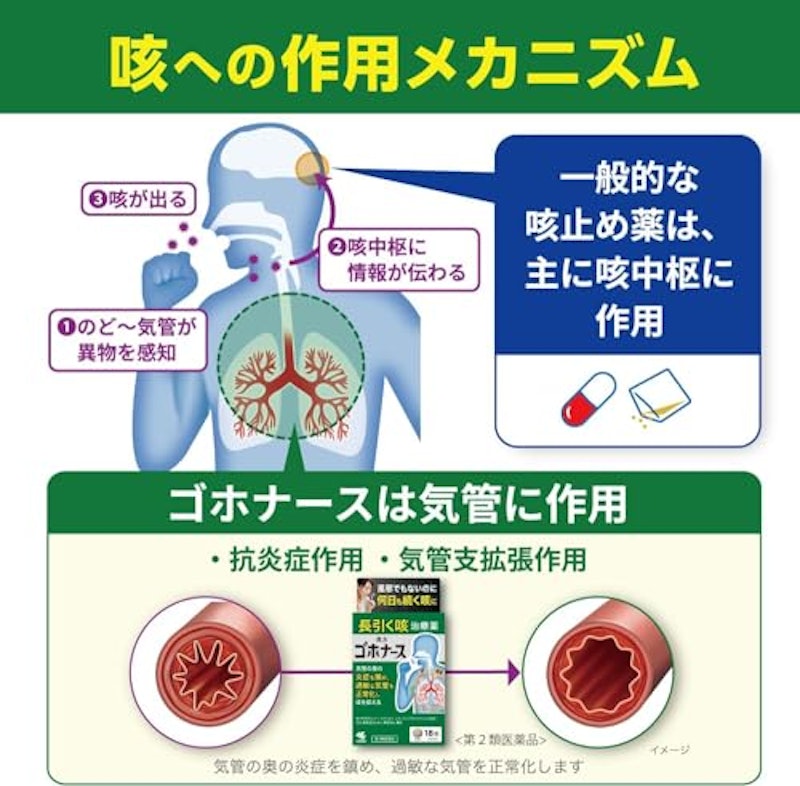 ゴホナース 6