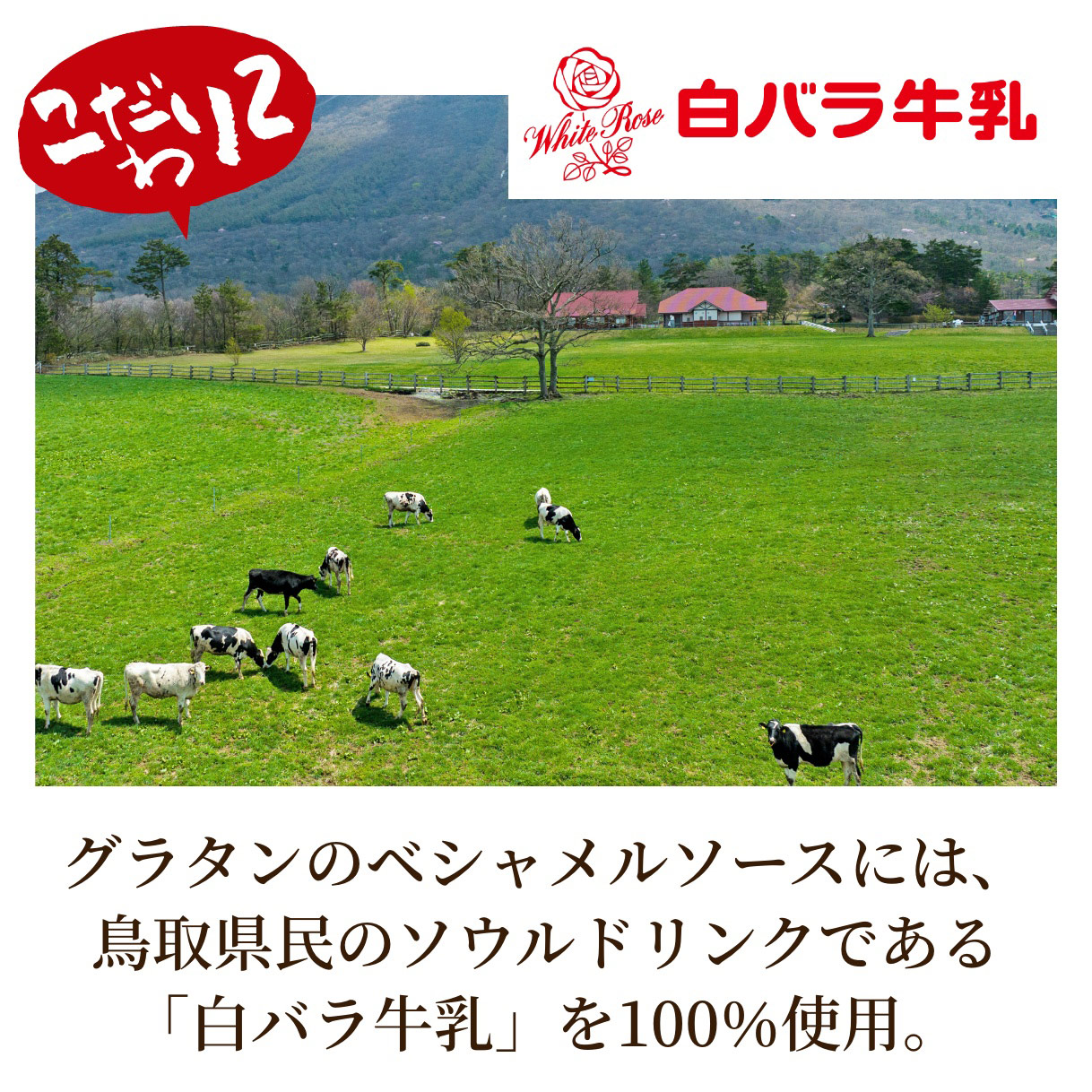 蟹屋のカニ甲羅グラタン 3
