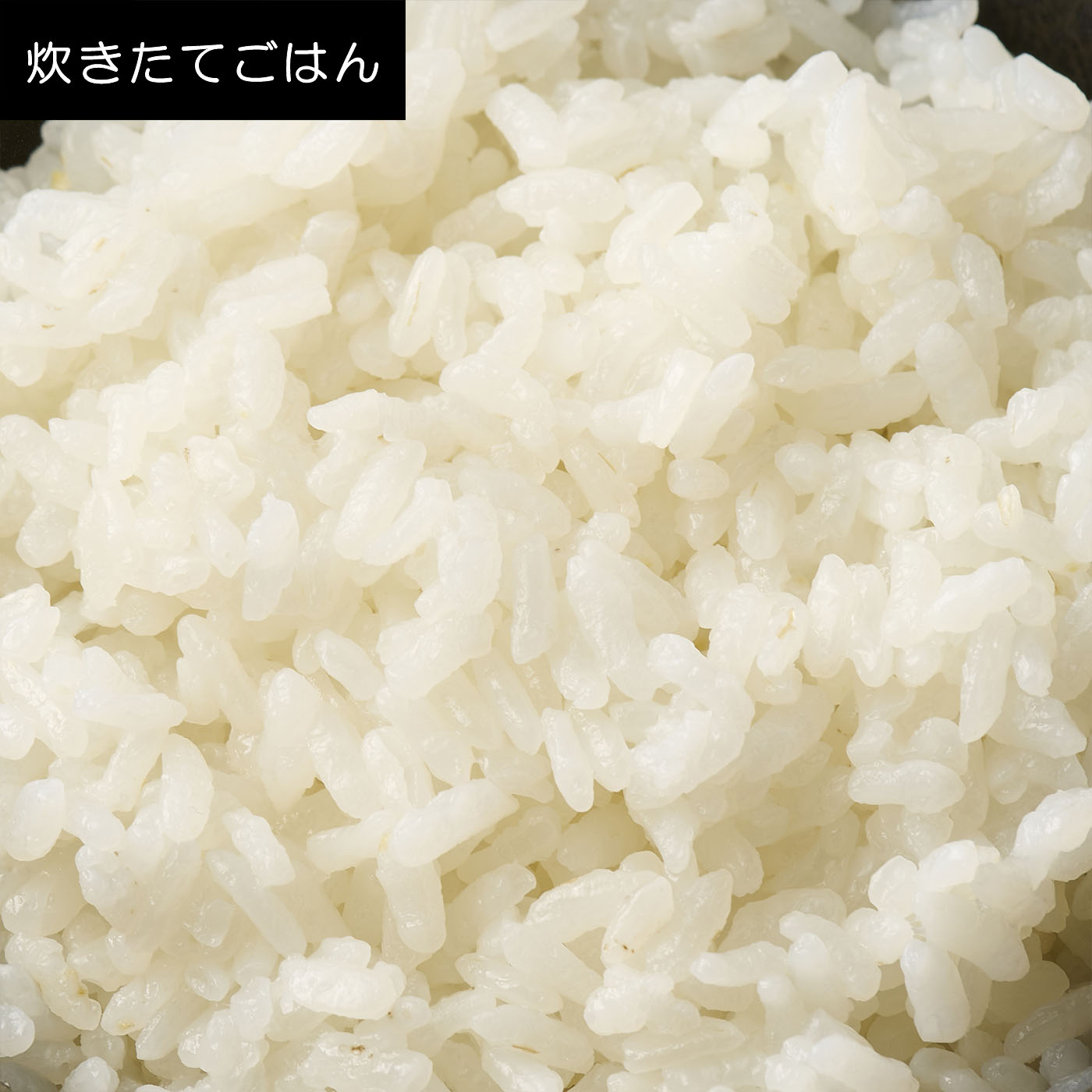 マイコン炊飯ジャー 10