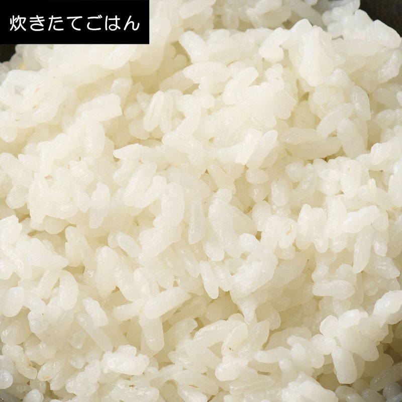 マイコン炊飯ジャー 10