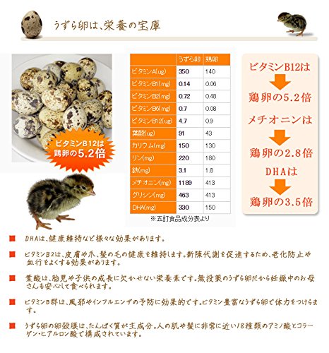室蘭うずらのプリン 4